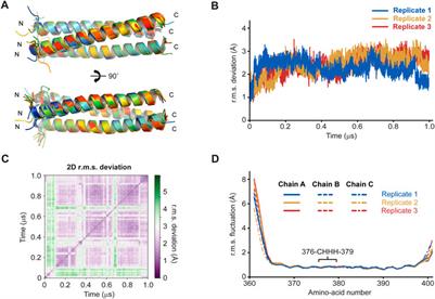 Molecular insights into LINC complex architecture through the crystal structure of a luminal trimeric coiled-coil domain of SUN1